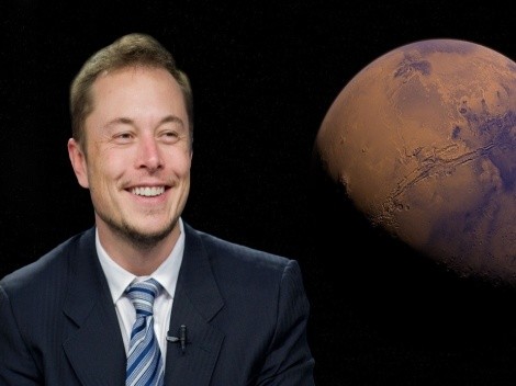 Twitter: Elon Musk se irrita com baixo engajamento no perfil da plataforma