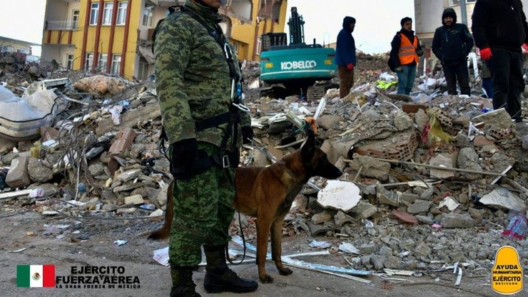 ¿Quién es el perro Proteo y cómo murió el perrito mexicano rescatista?