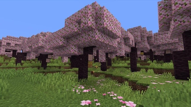 ¡ES HERMOSO! Así se ve nuevo bioma para la versión 1.20 de Minecraft