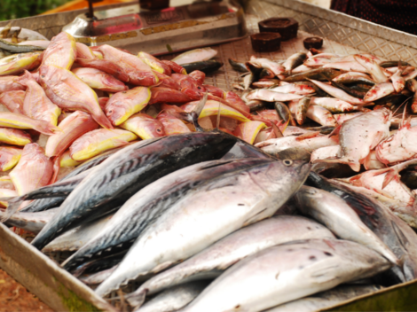 Los pescados más BARATOS para comprar esta cuaresma, según Profeco