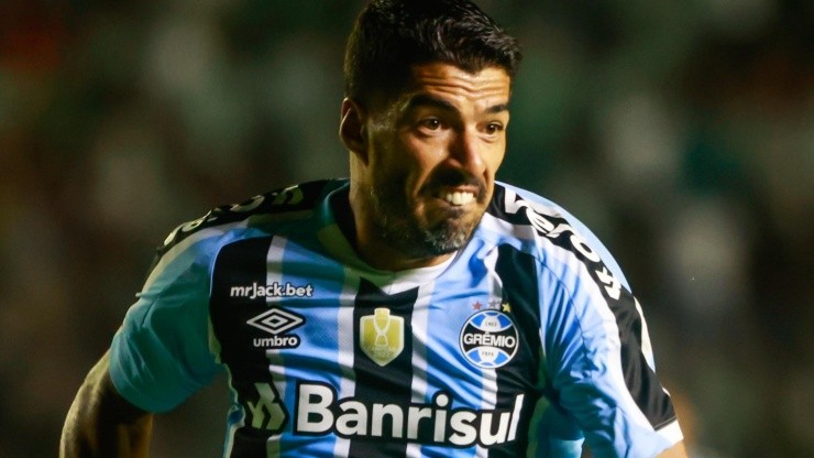 Foto: Luiz Erbes/AGIF - Suárez: principal contratação do rival Grêmio