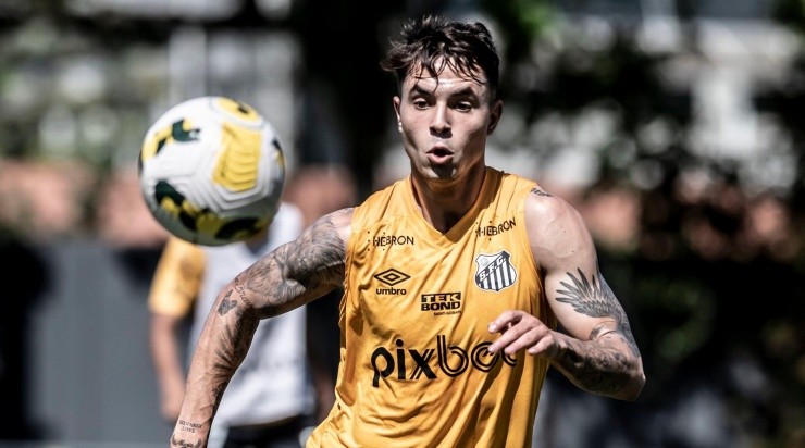 Vinicíus Zanocelo quer deixar o Santos. Foto: Ivan Storti/ Palmeiras