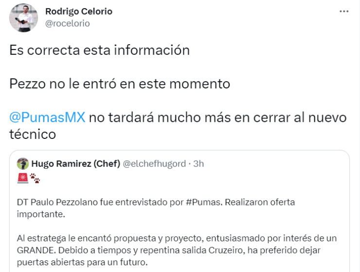 Pezzolano rechazó a Pumas.