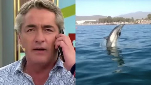 José Luis Reppening y el delfín en Papudo, los dos episodios más denunciados de Tu Día de Canal 13.