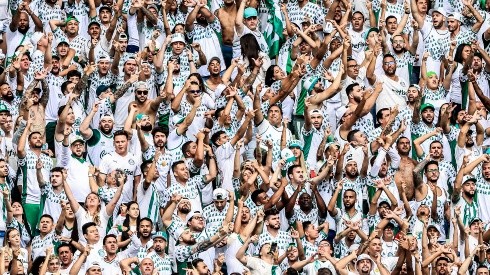 Foto: Marcello Zambrana/AGIF - Torcida do Palmeiras