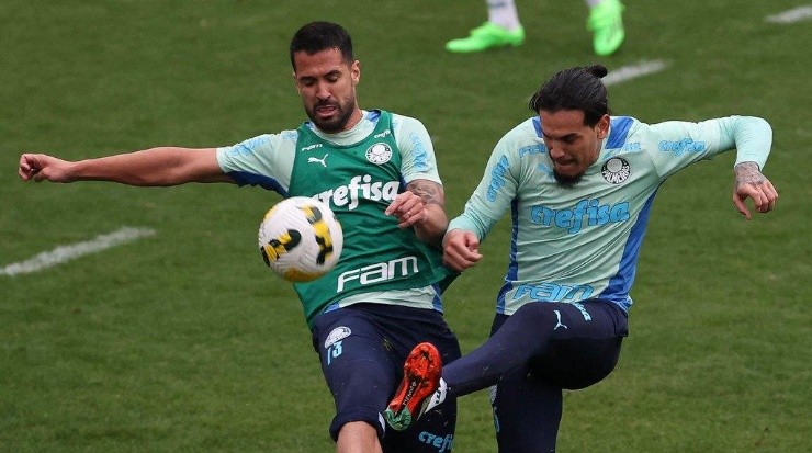 Foto: Cesar Greco/Palmeiras - Luan deverá formar dupla de zaga com Gómez