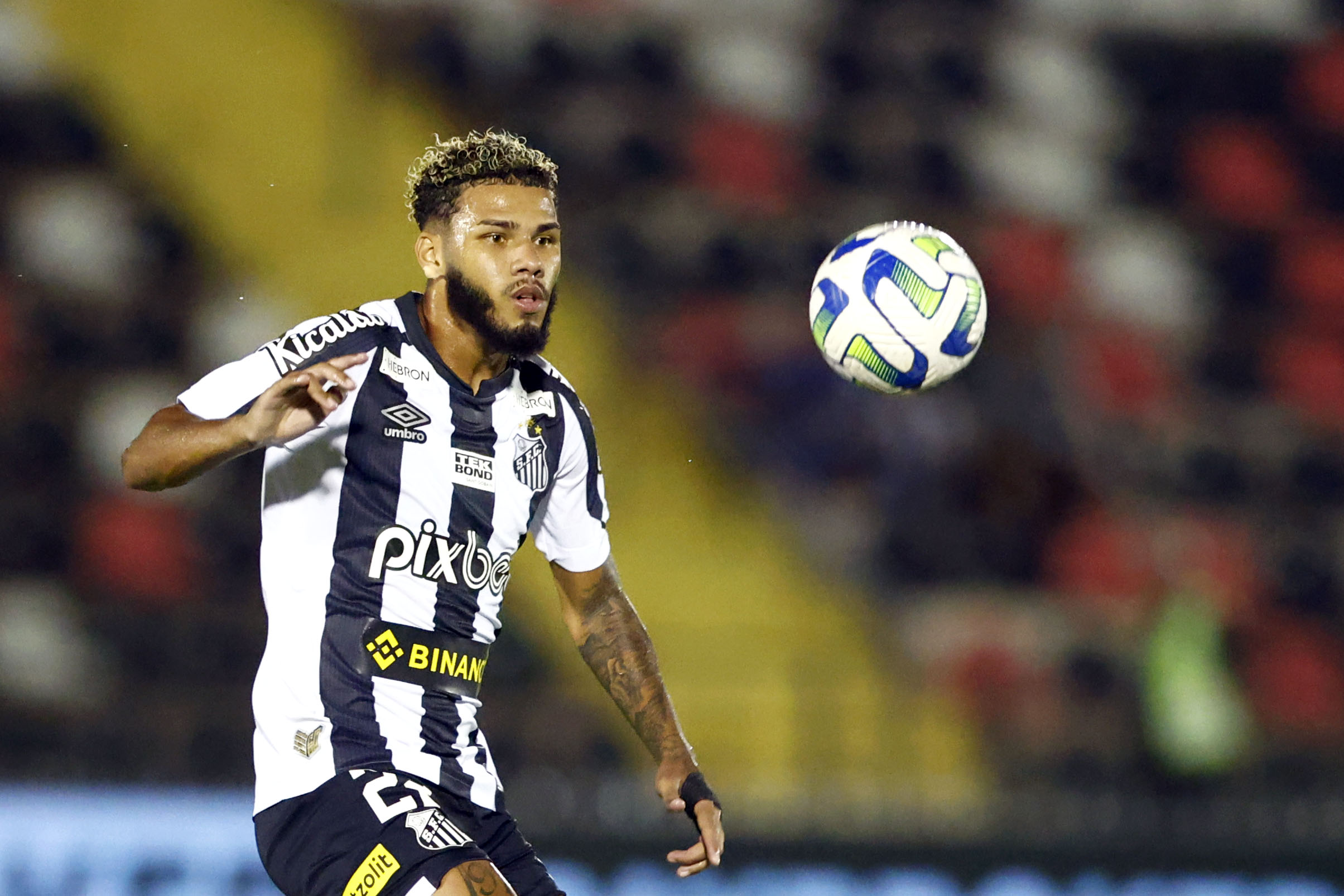 Odair Hellmann define situação de Nathan no time titular do Santos