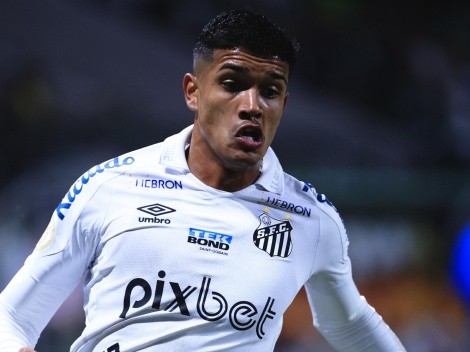 File:Lucas Barbosa - Palmeiras-Santos-Campeonato-Paulista-2022.png -  Wikipedia