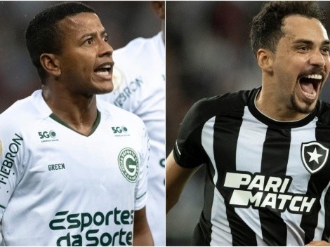 CAMPEONATO BRASILEIRO: GOIÁS x BOTAFOGO; Onde assistir AO VIVO, raio x e mais