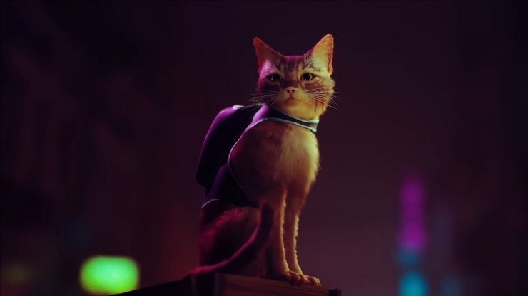 Stray: primer gameplay del simulador de gato para PlayStation y PC