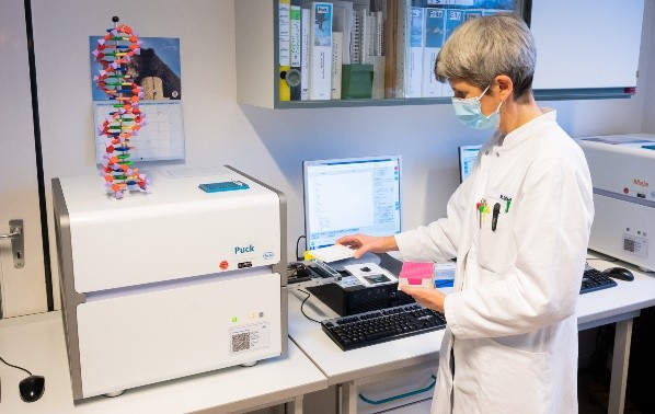 Estudio de casos de coronavirus.