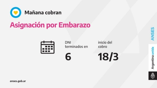 Asignación por Embarazo.