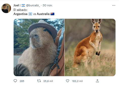 Los mejores memes de Argentina vs. Australia.