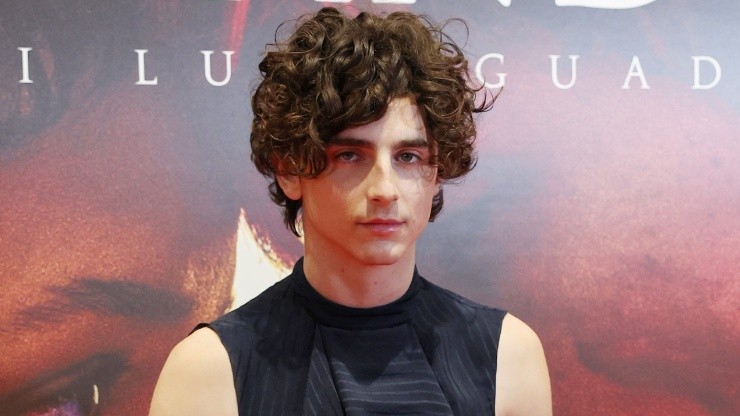 Timothée Chalamet attends the photocall for "Bones And All" on November 12, 2022 in Milan, Italy.