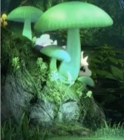 El nuevo Pokémon detrás de los hongos