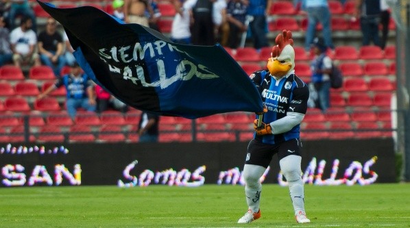 Gallo Gallardo con un bandera en apoyo al equipo.
