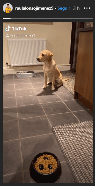 Raúl Jiménez y un gracioso momento con su perro.