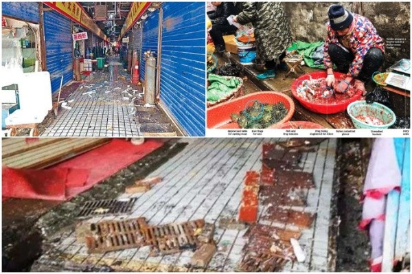 La suciedad del mercado de Wuhan, donde China afirma que comenzó el coronvirus.