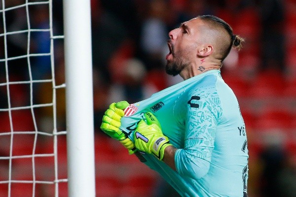 Yosgart anunció que tomó la decisión de colgar los guantes (Foto: JAM)