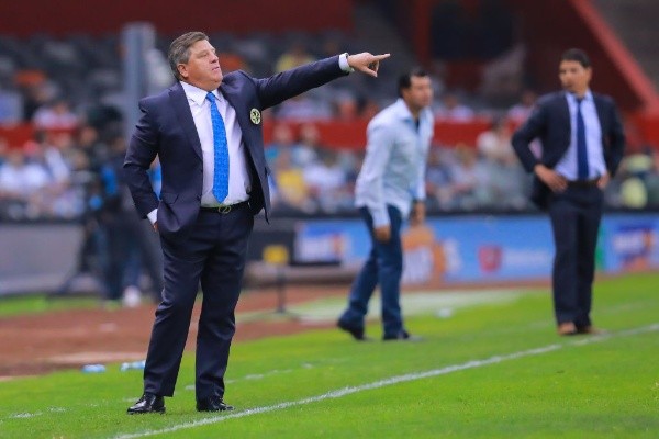 Piojo en acción (Getty)