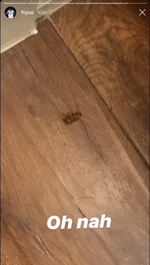 Cucaracha en la 'burbuja' de la NBA