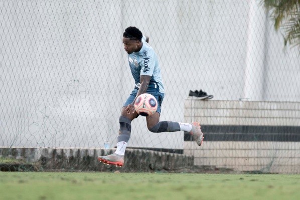 Foto: Ivan Storti/Santos FC