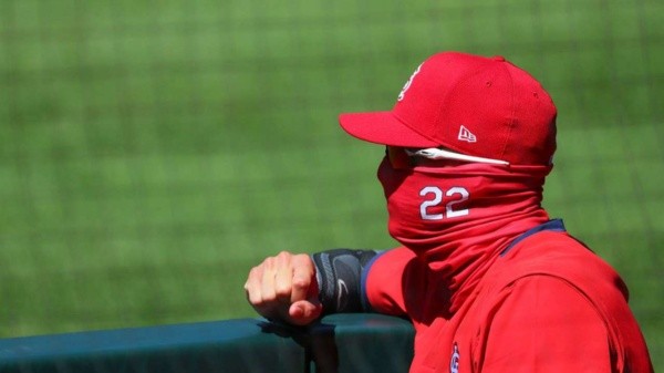 Los Cardinals en problemas por el Coronavirus (Getty)