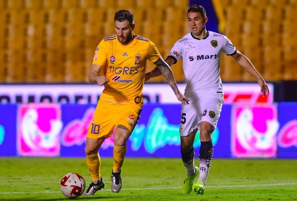 André-Pierre Gignac, Tigres UANL, Liga MX