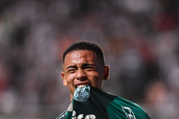 Ranking Palmeiras  Os 25 melhores jogadores da década do Palmeiras