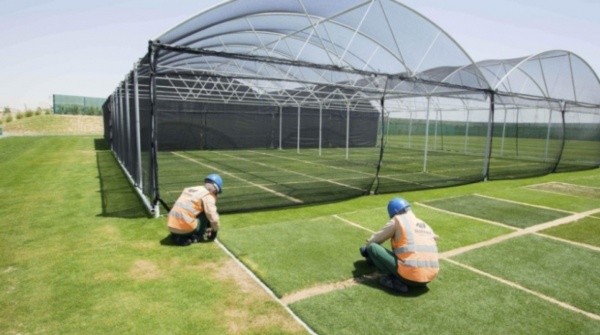 Los viveros son una de las mayores sorpresas del evento mundialista. Fuente: Getty Images