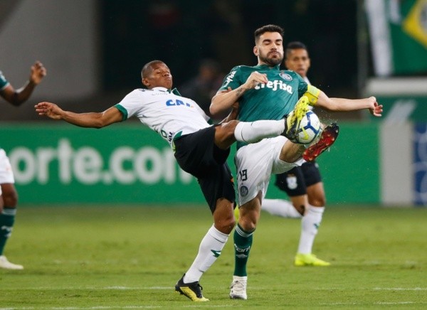 Palmeiras em partida contra o América-MG. Foto: Getty Images