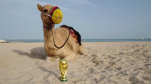 Las carreras de camello son y serán una tradición qatarí. Fuente: Getty Images