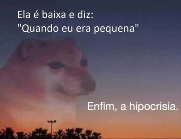 Relembre os 15 melhores memes que viralizaram na Internet em 2020