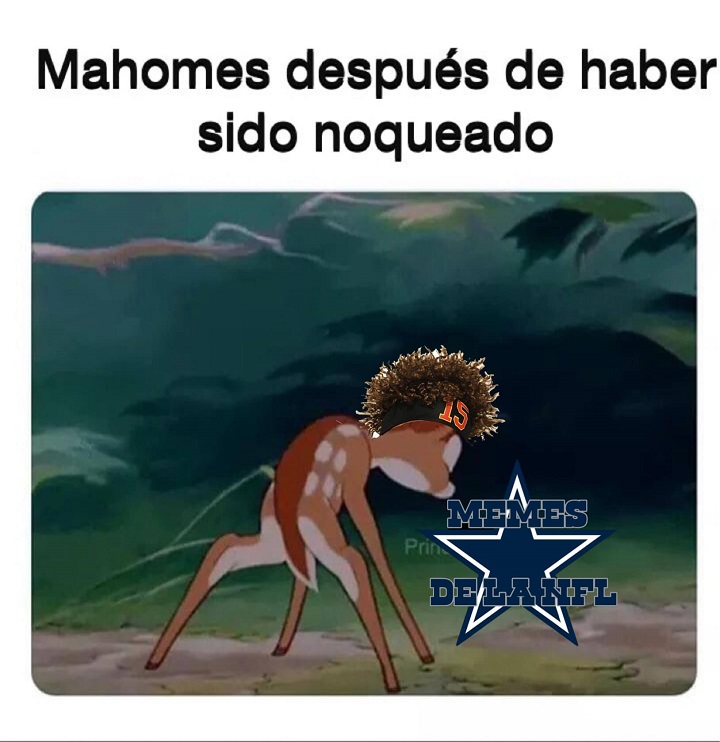 (Foto: Memes de la NFL)