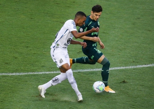 Os Palmeiristas on X: @PE_Lira @pomerense É do Palmeiras mano