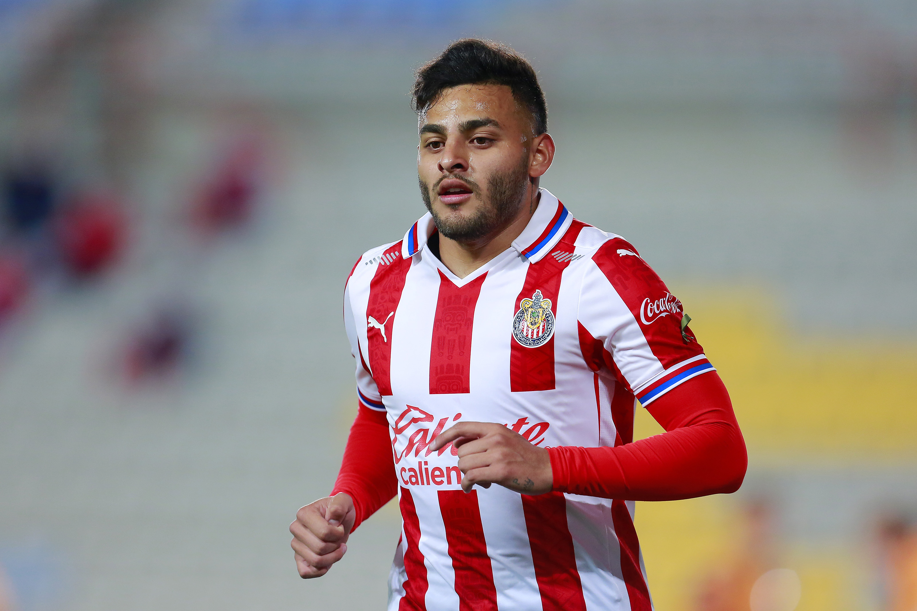 El mensaje de Chiquimarco a Alexis Vega. Jam Media.