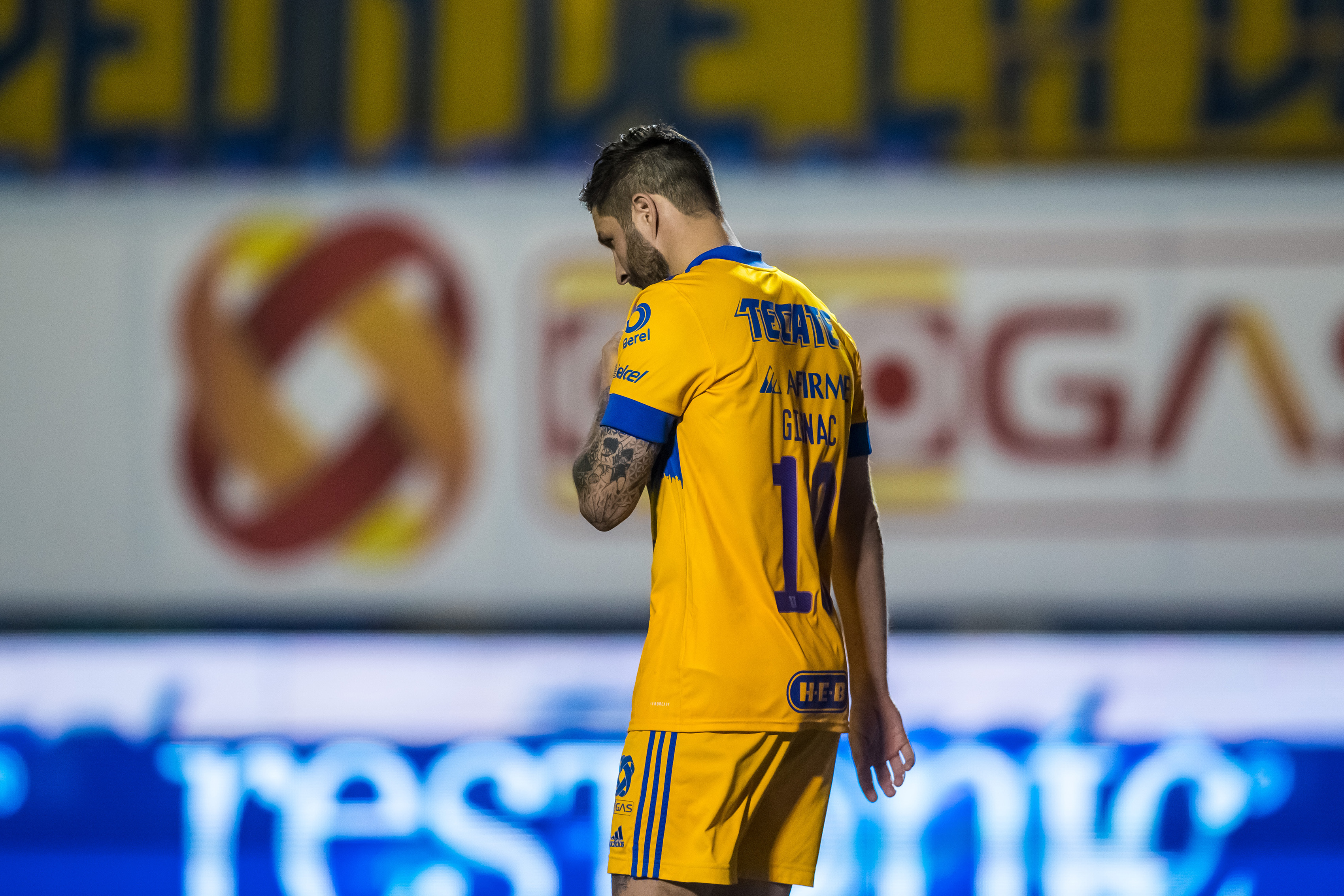 André-Pierre Gignac elogió a la afición de Tigres. Jam Media.