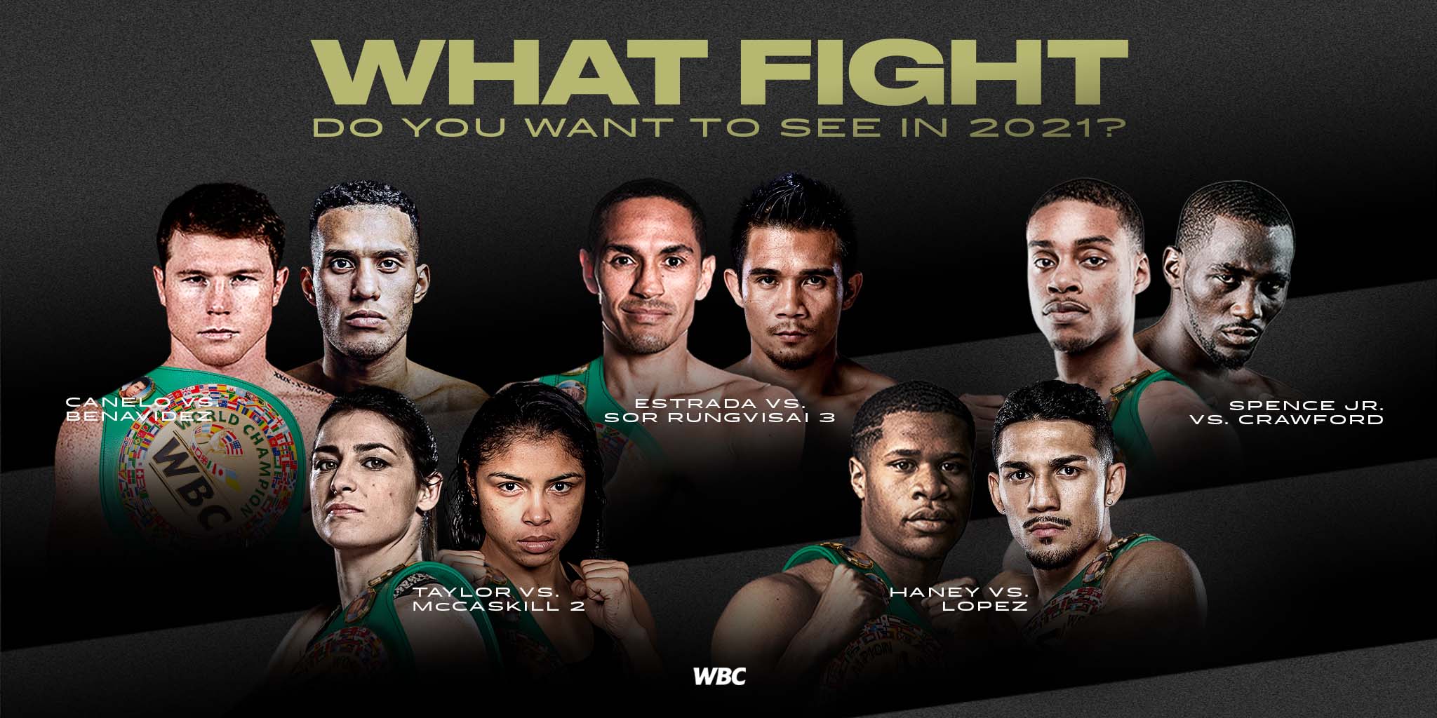 Canelo Álvarez vs. David Benavidez.