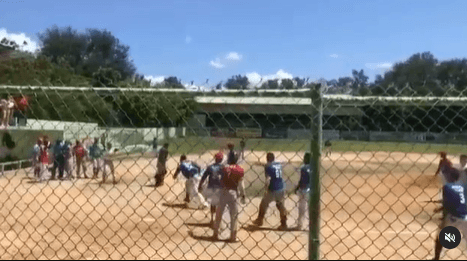 Pelotero le da batazos a un árbitro