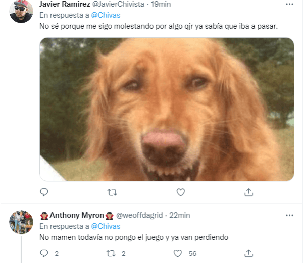 Gol de Ginac Tigres 1-0 Chivas Liga MX