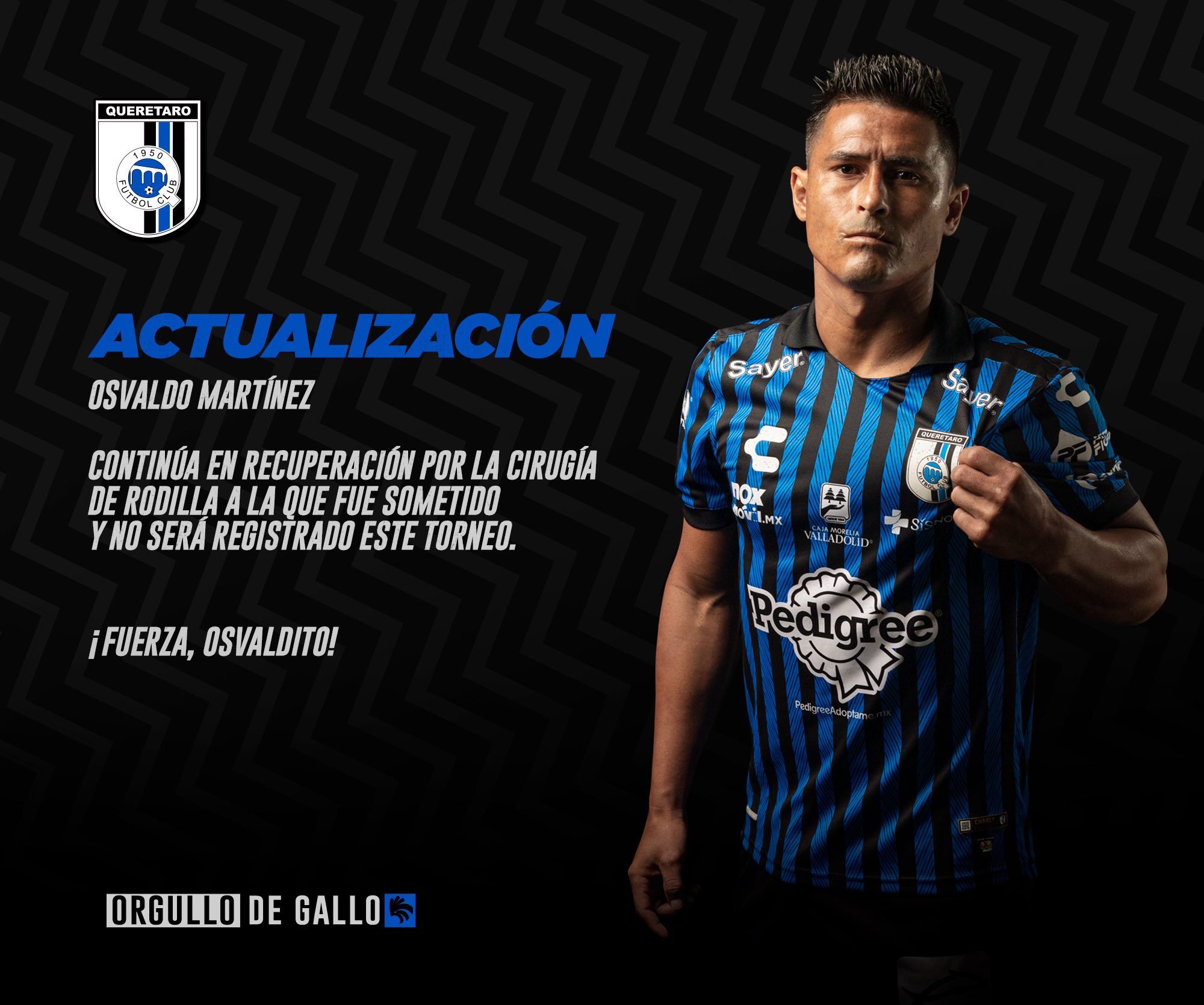 Twitter Gallos de Querétaro