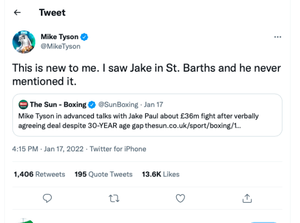 Jake Paul, Mike Tyson, Boxing