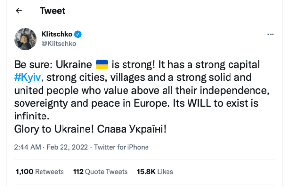 Wladimir Klitschko, Boxing