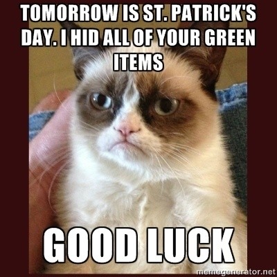 The Funniest 2023 St. Patrick's Day Memes to Celebrate - Lola Lambchops