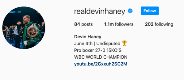 Devin Haney, Boxing