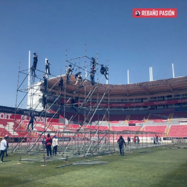 Twitter Rebaño Pasión