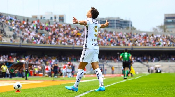 Cuántos títulos tiene Pumas? Concachampions, Ligas MX y el palmarés  completo del equipo mexicano