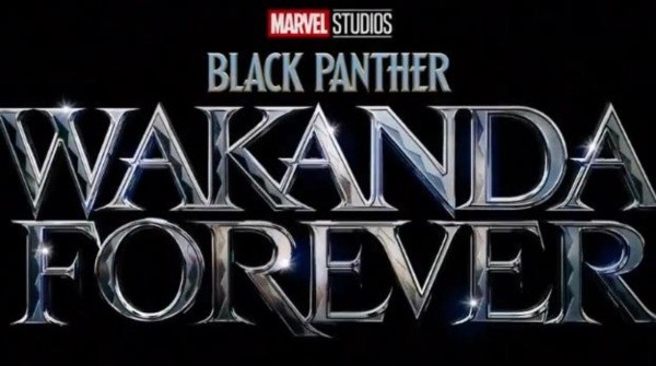 Novo filme do &quot;Pantera Negra&quot; estreia em novembro - Foto: Marvel