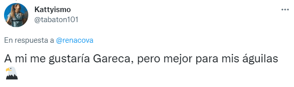 Afición del América pide al Tigre Gareca.