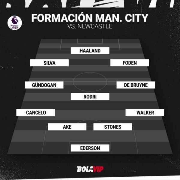 Alineaciones de manchester city contra newcastle united